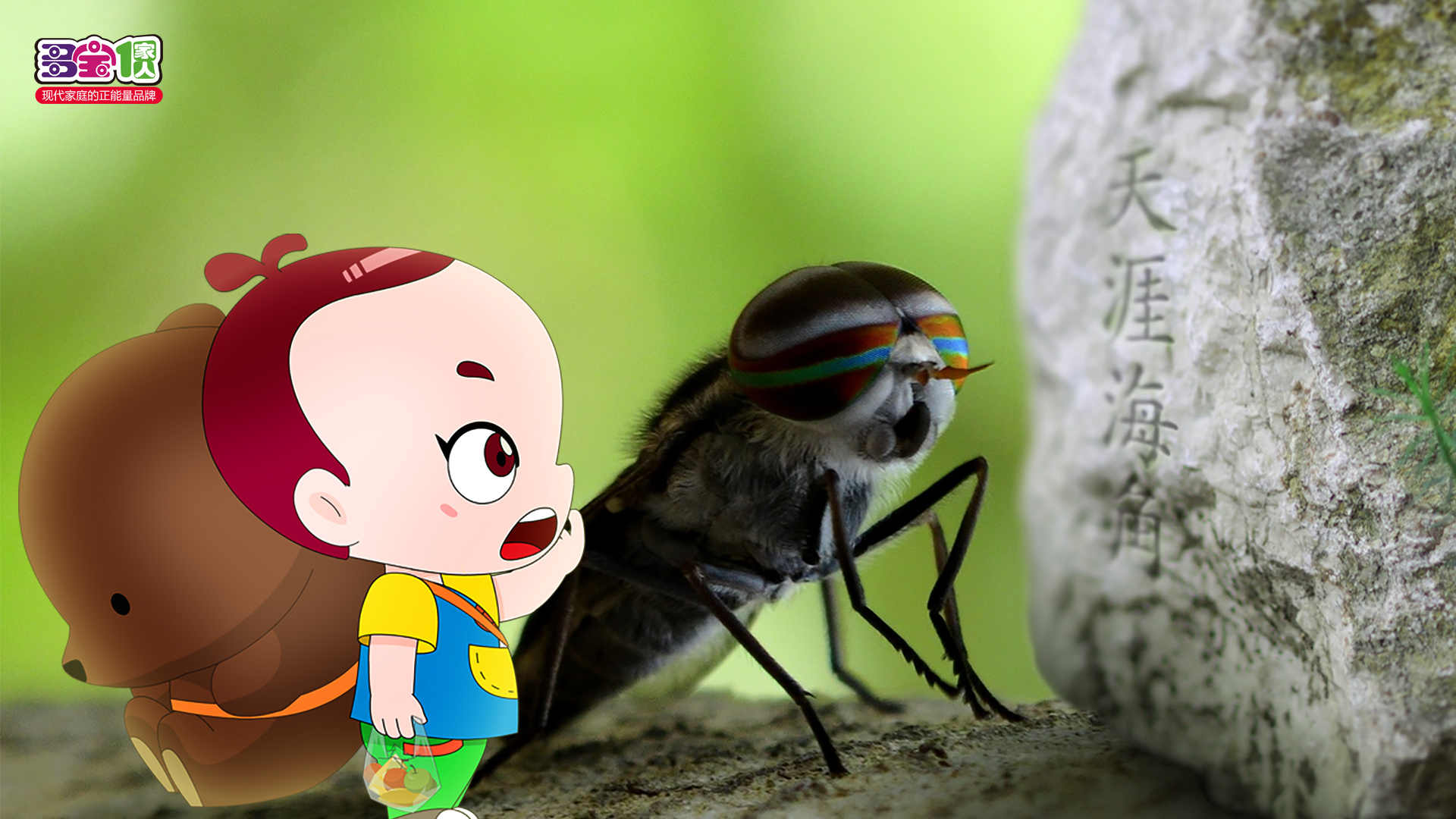 《多宝一家人》高清壁纸(二)旅行