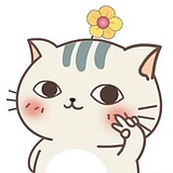 清浅如初的头像