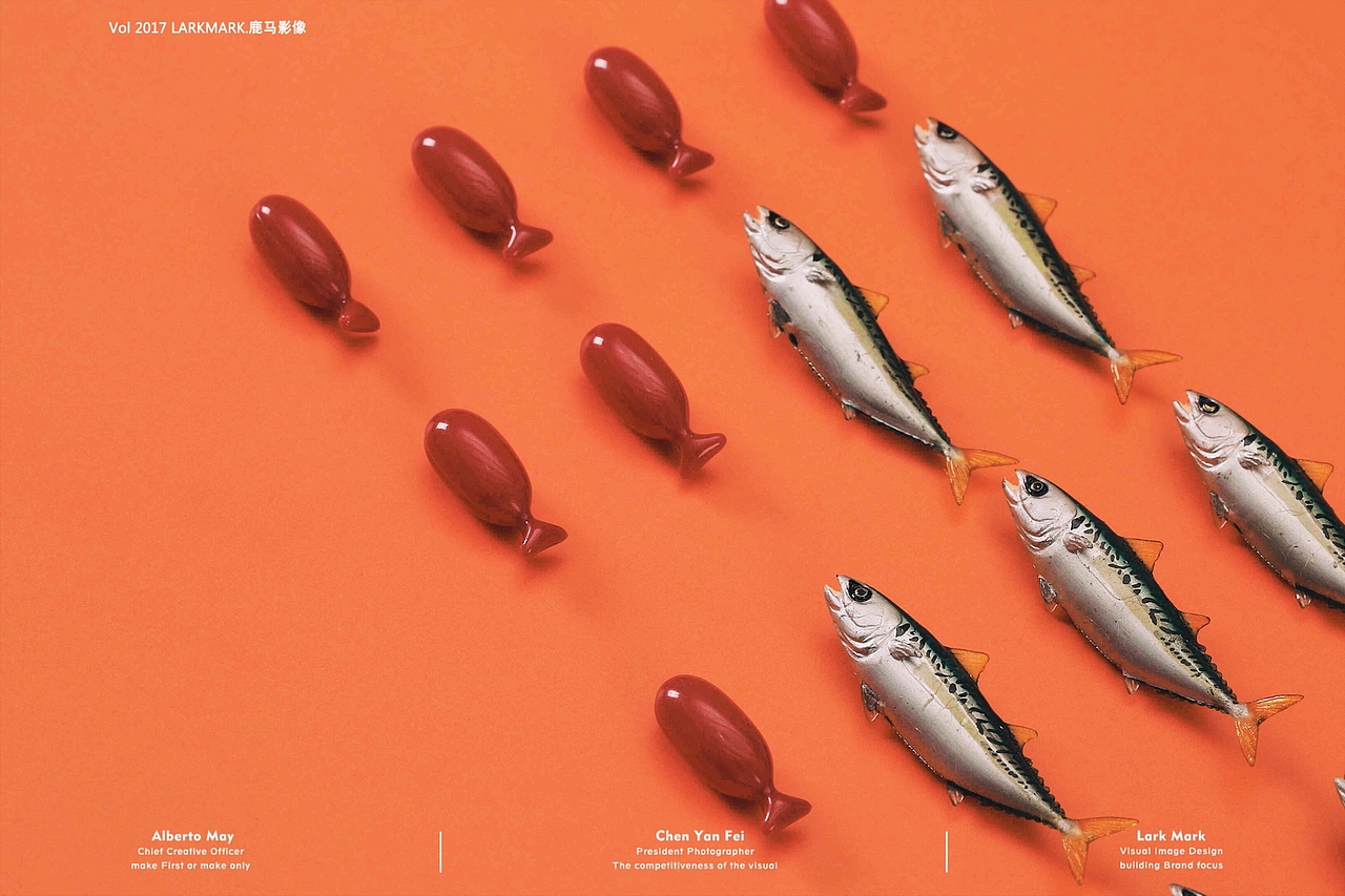 S&N | 鱼儿鱼儿,游来了 微缩摄影小人国缩微摄影