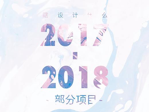 2017-2018部分项目