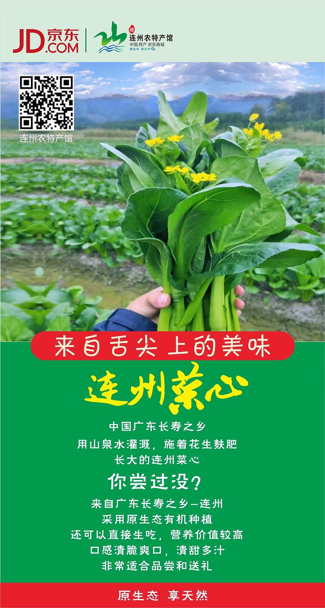 连州菜心品牌推广（图ZMjUwNjA0NjQ0） - 品牌 - 站酷设计师张贤杪原创素材 - 站酷ZCOOL