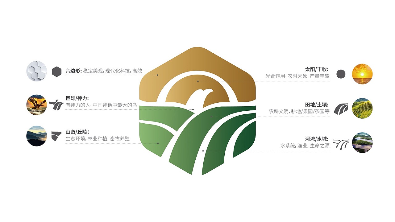 巨雄 品牌形象&产品包装升级（图ZMjY4NTM1Mzcy） - 品牌 - 站酷设计师金针菇菇原创素材 - 站酷ZCOOL