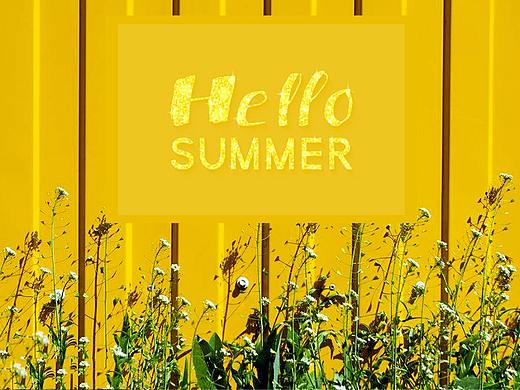 水果味儿的夏天