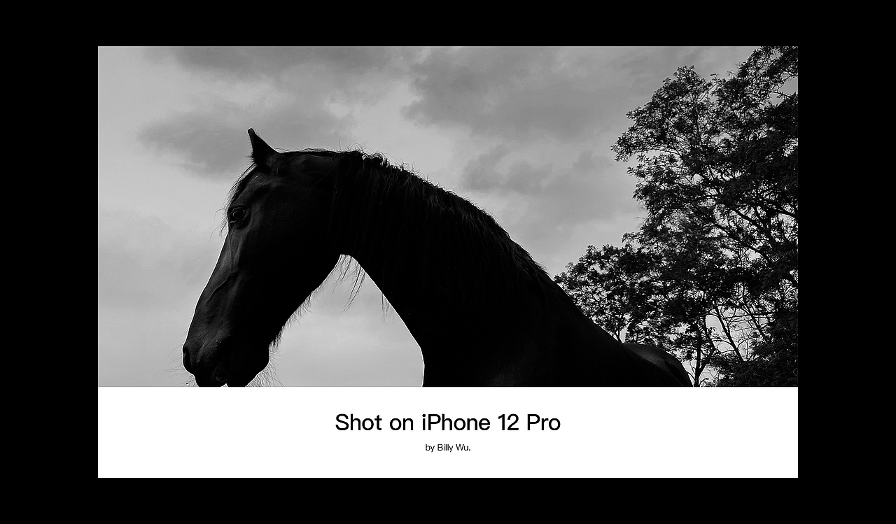 iPhone 12 pro拍摄的日常0623