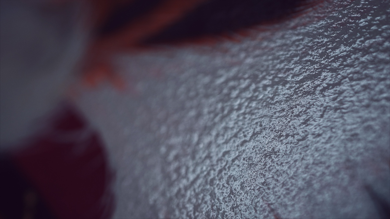 shaman girl n her cats（图ZMjMwNTg5OTcy） - 艺术插画 - 站酷设计师dearqqzhao原创素材 - 站酷ZCOOL