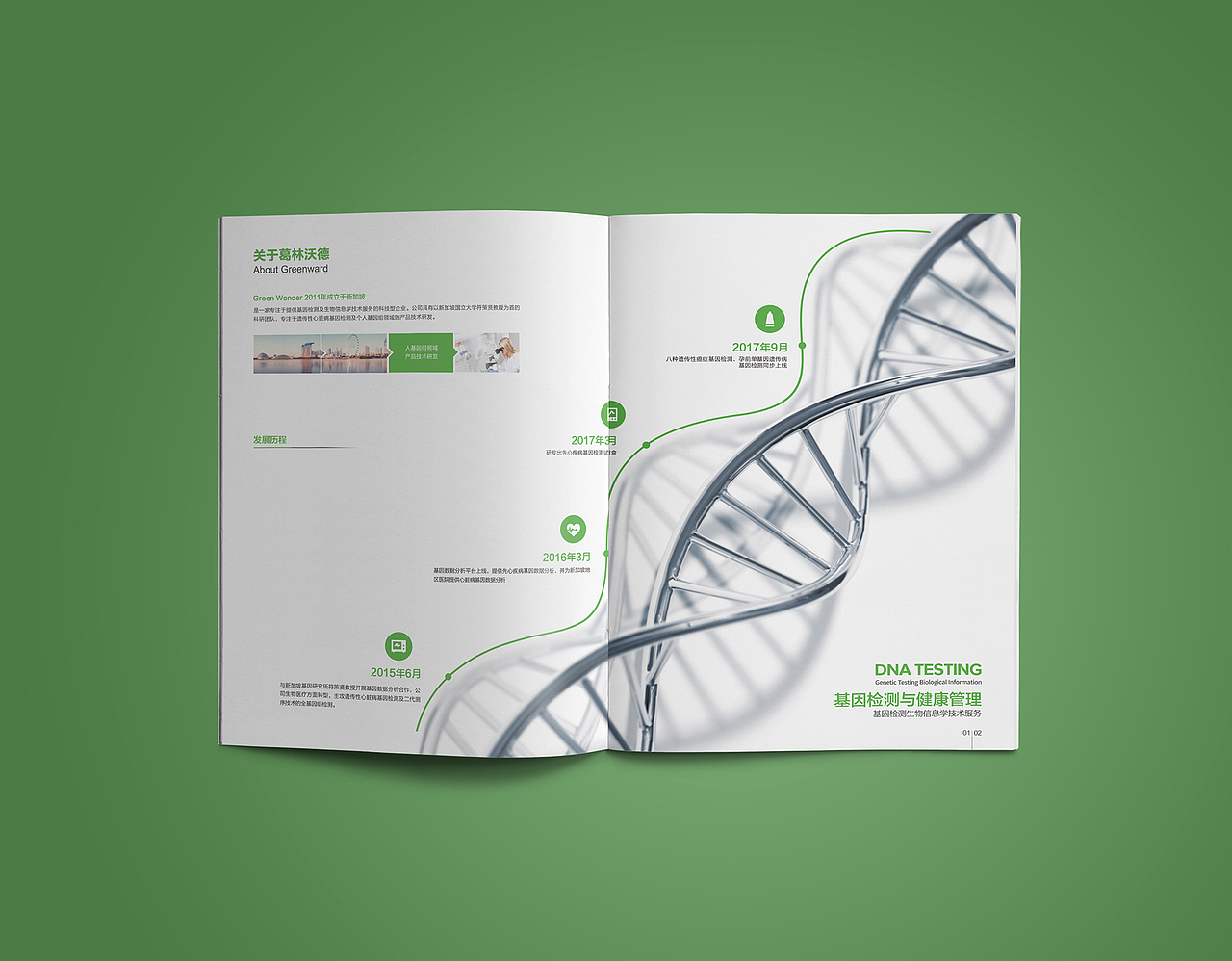 基因检测第三套画册设计