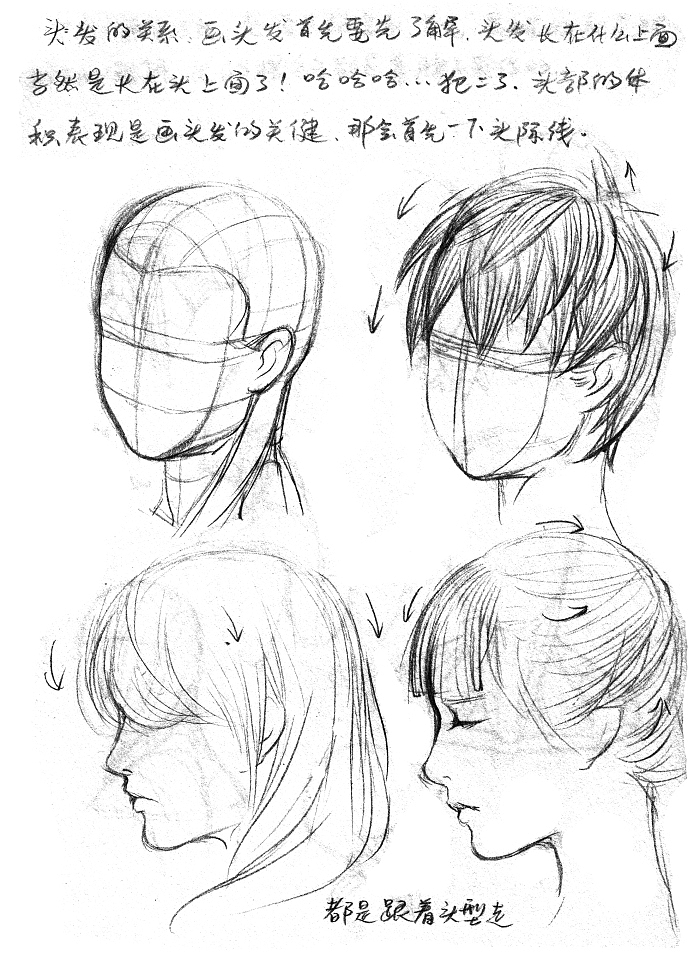 【头发】
头发的关系。首先要了解头发的长在什么上面,当然是长在头上面了!哈哈。。。头部的体积表现是画头发的关键,跟着头型走就对了。<br>