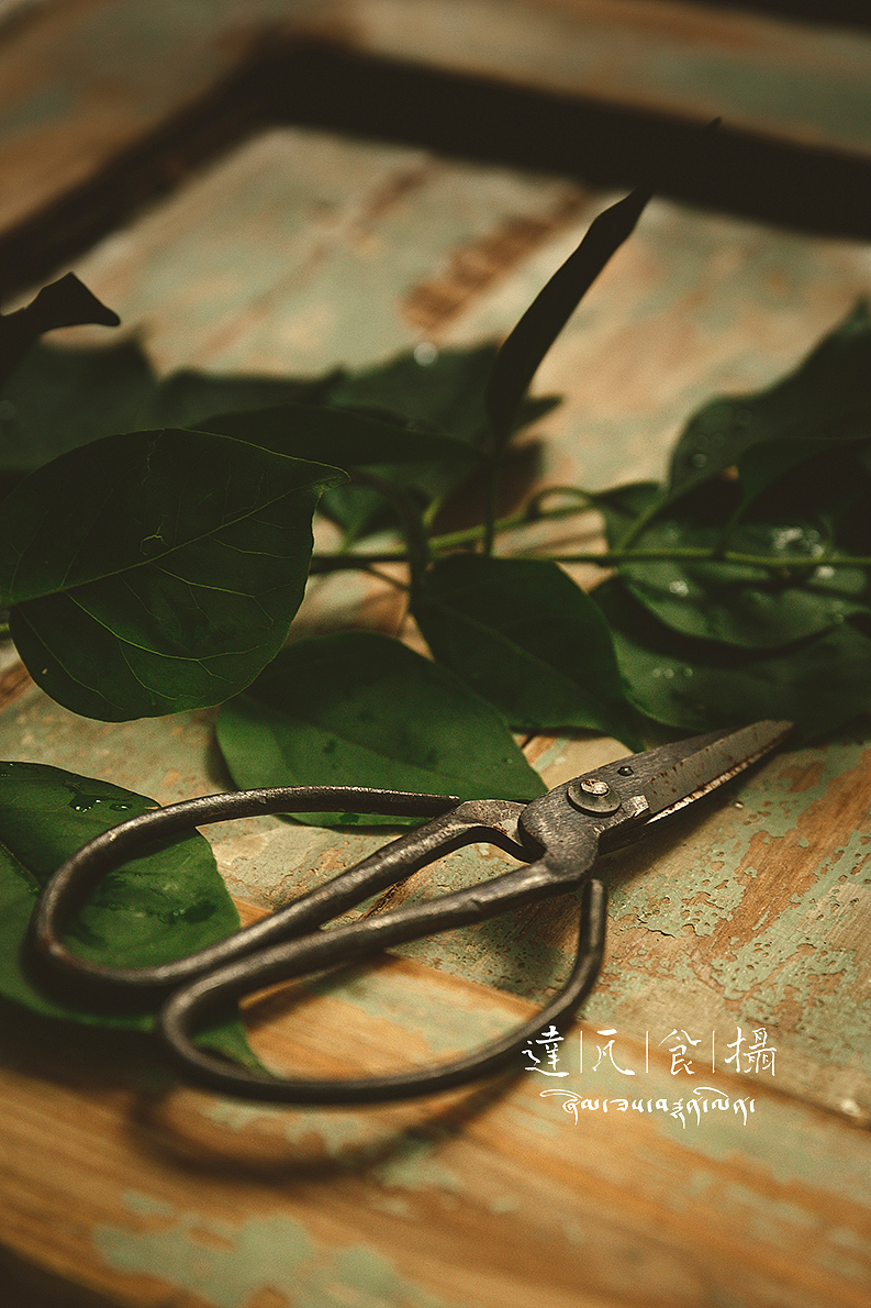 大西瓜还有那小番茄啊,这可爱的姨妈红