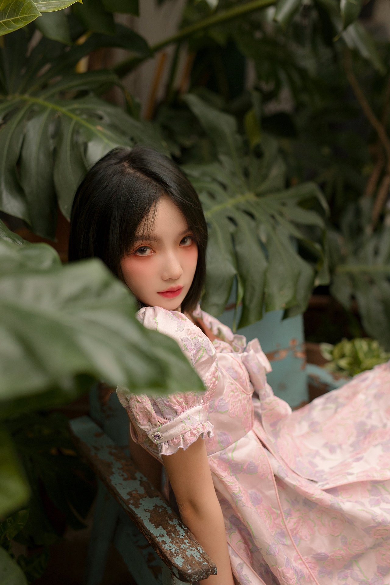 花房猫咪少女（图ZMjYwOTY4NDUy） - 人像摄影 - 站酷设计师三古酱原创素材 - 站酷ZCOOL