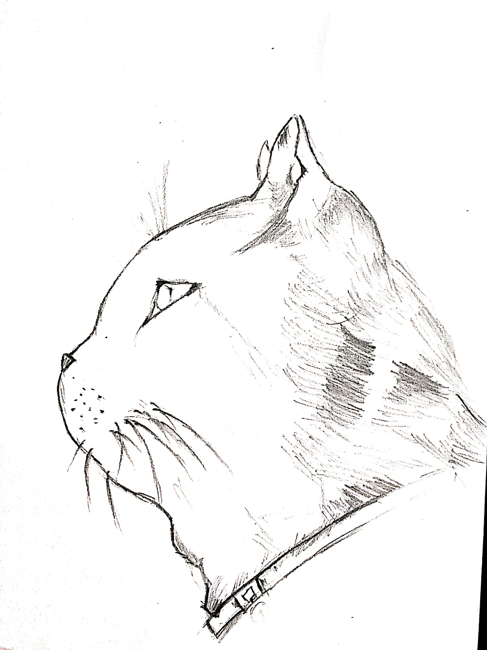 近期的小手绘，教练我想学画画ˊ_>ˋ（图ZNDI0OTYzMzY=） - 其他 - 站酷设计师穿匡威的兔子原创素材 - 站酷ZCOOL