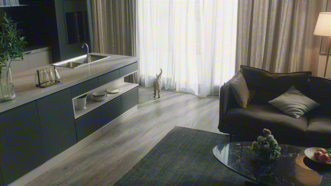 霍曼real智能喂食器