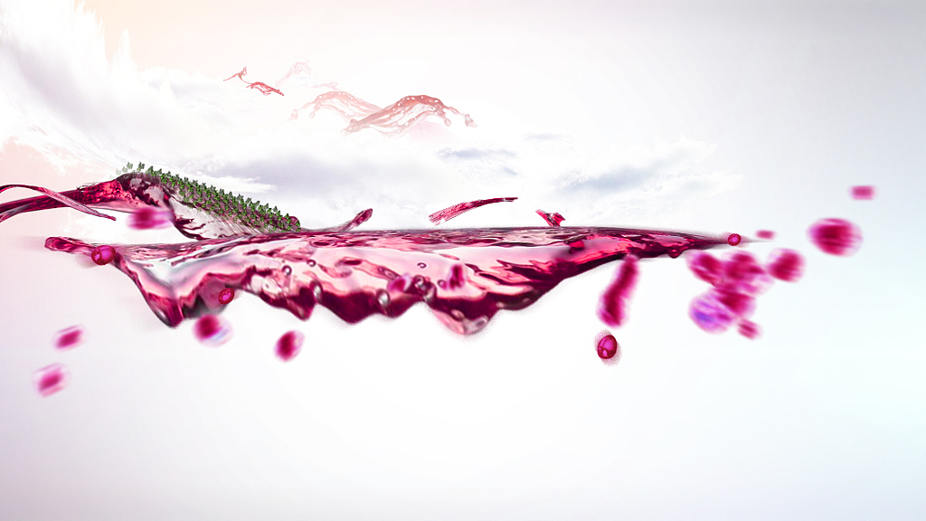 《中粮世博会 广告片》视觉设计（图ZMzQ0MzA2MDA=） - 影视后期 - 站酷设计师kaya_picture原创素材 - 站酷ZCOOL