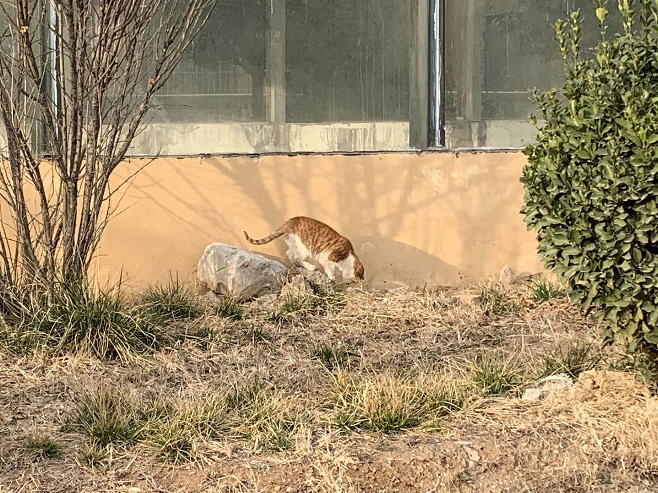 日常（图ZMjE0Njg1OTY4） - 其他摄影 - 站酷设计师iced_A原创素材 - 站酷ZCOOL