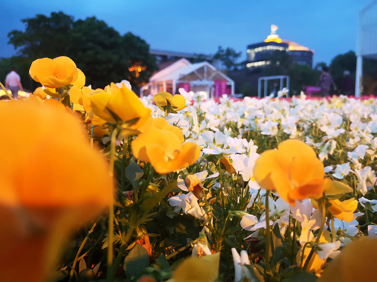 成都洛带古镇一日游