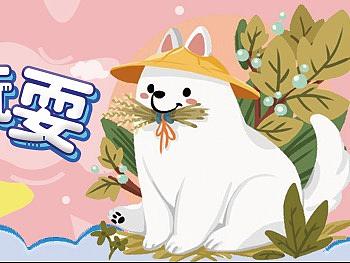 宠物类banner