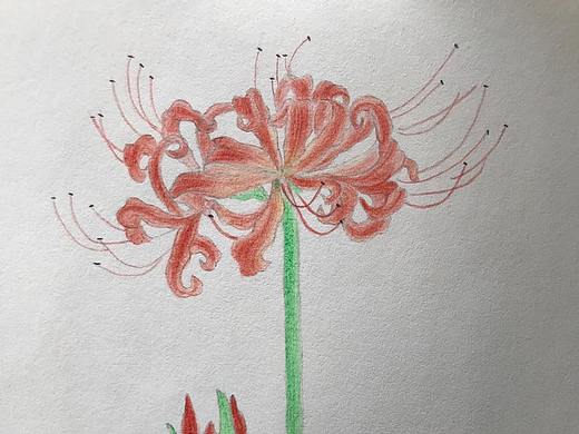 彼岸花花语迷幻精灵（个人主页-ZNDY3OTQ4Njg=） - 像素画 - 站酷设计师晶莹剔透1原创素材 - 站酷ZCOOL