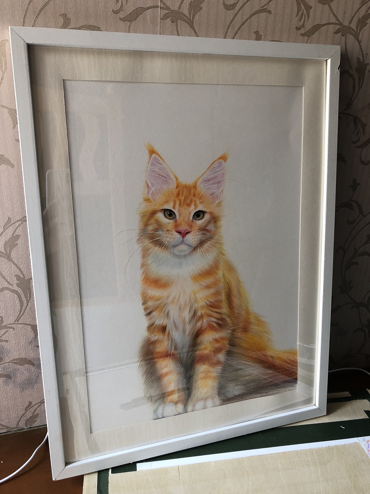 彩铅画《缅因猫》（图ZMTc4Nzg0NjY4） - 绘画 - 站酷设计师郭秀富原创素材 - 站酷ZCOOL