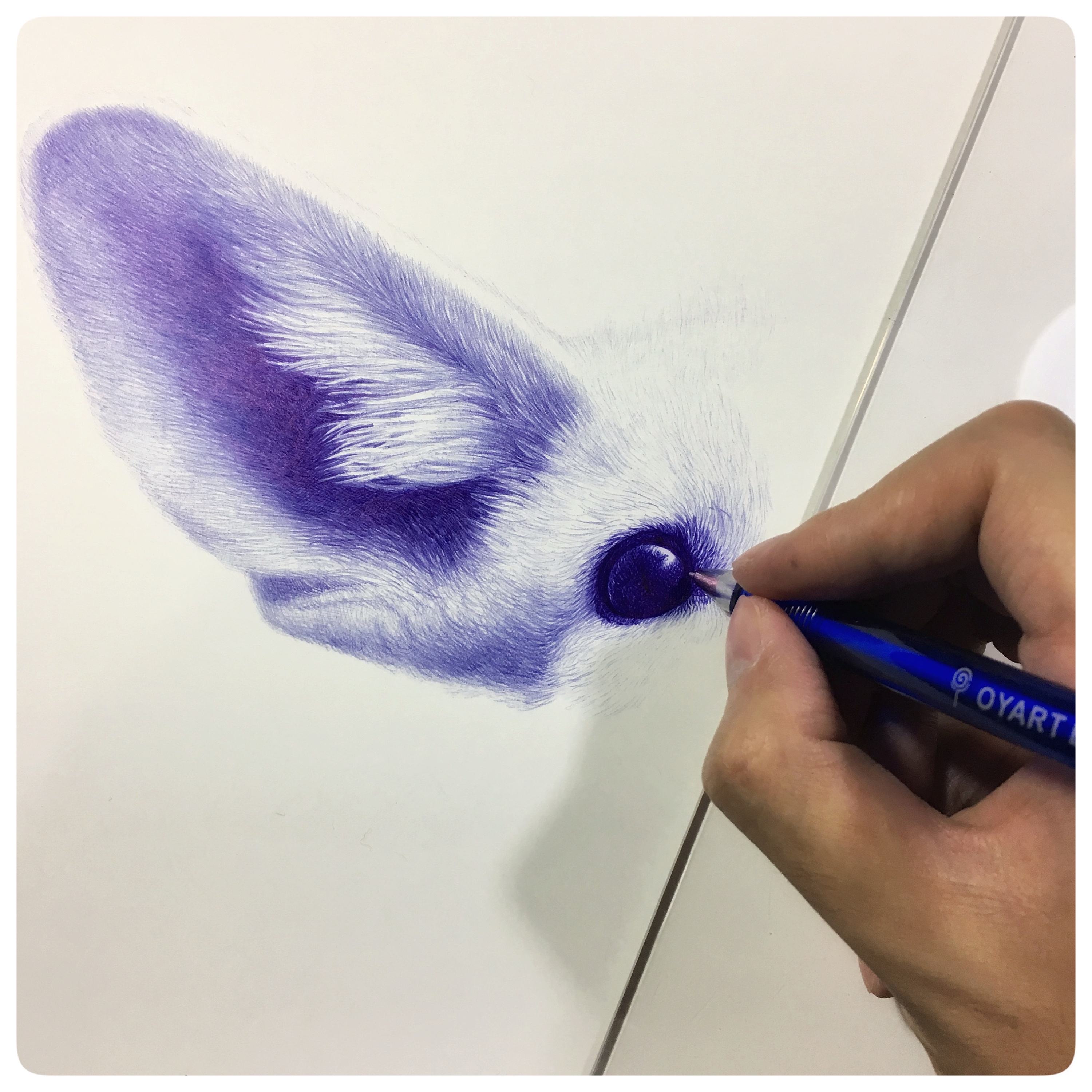 oy圆珠笔画:耳廓狐|纯艺术|绘画|欧阳鹏杰_oy - 原创作品 - 站酷