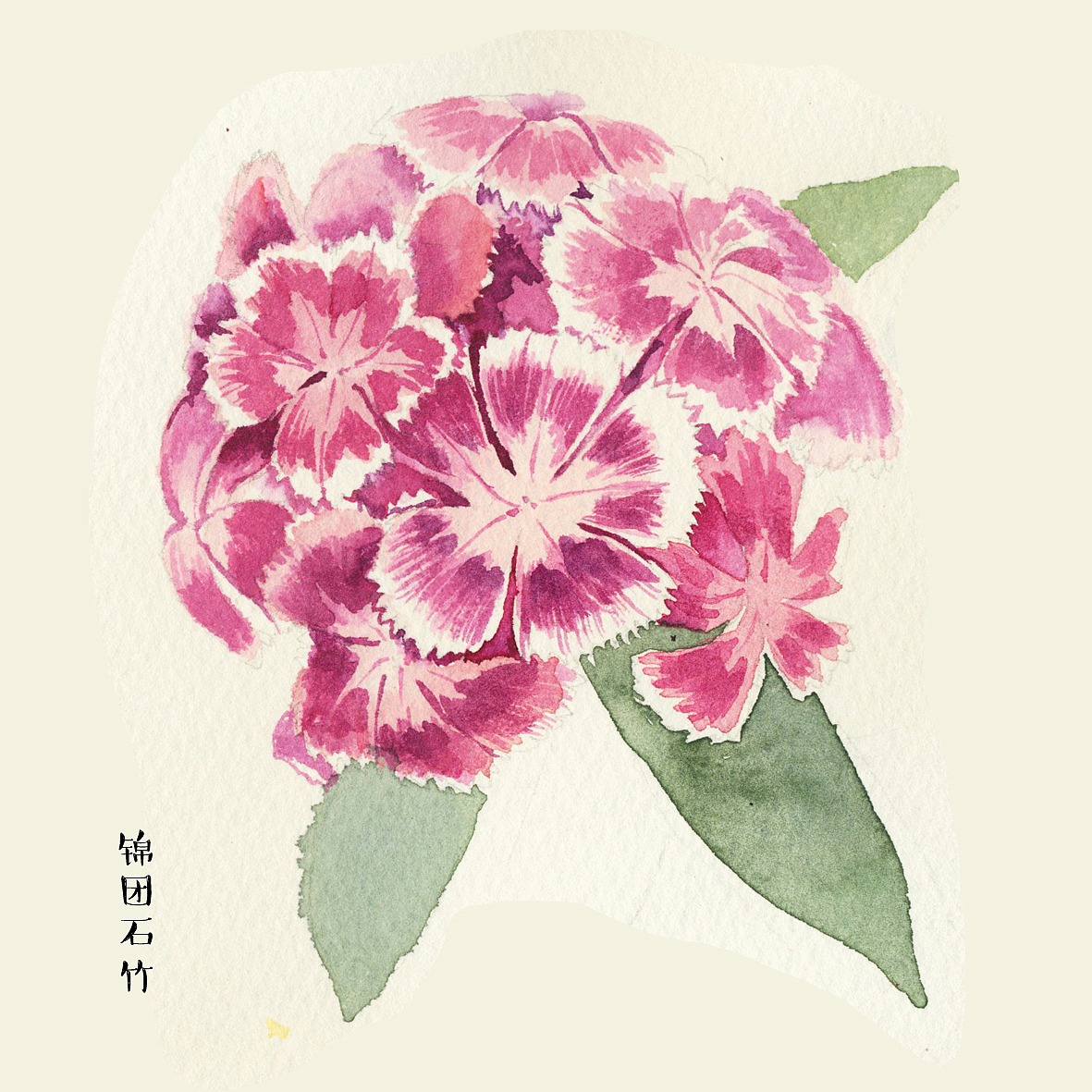 水彩花儿练习（图ZMTkzNDg0Njky） - 绘本 - 站酷设计师菲菲美智原创素材 - 站酷ZCOOL