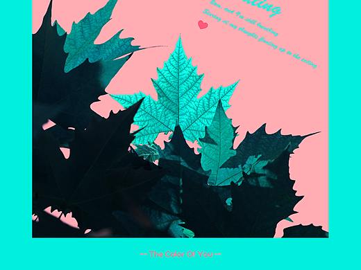 Color of YOU.♥（个人主页-ZMzgyOTY2MzI=） - 其他摄影 - 站酷设计师小晕样原创素材 - 站酷ZCOOL