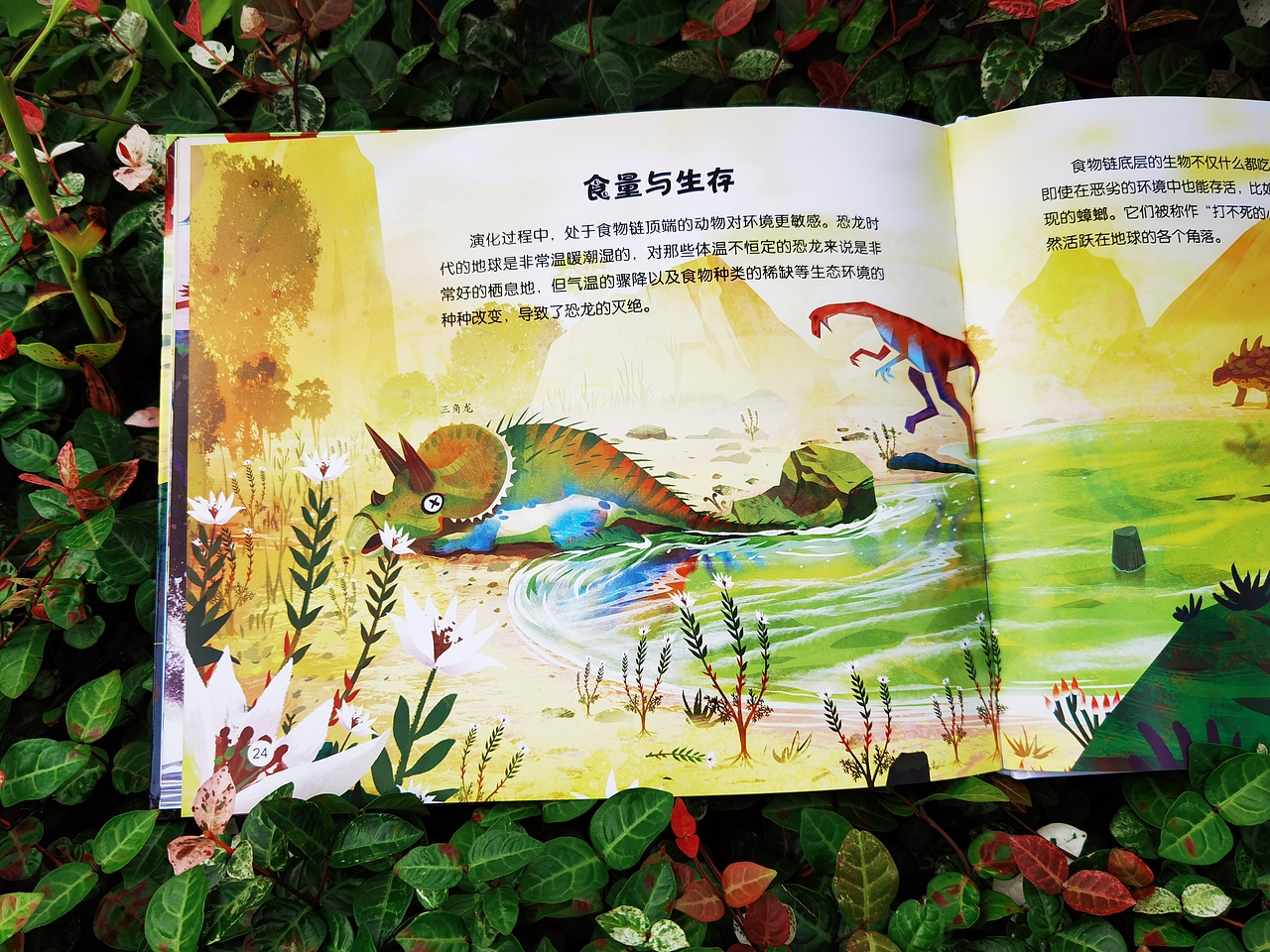 《穿越时空的自然博物馆》绘本合集