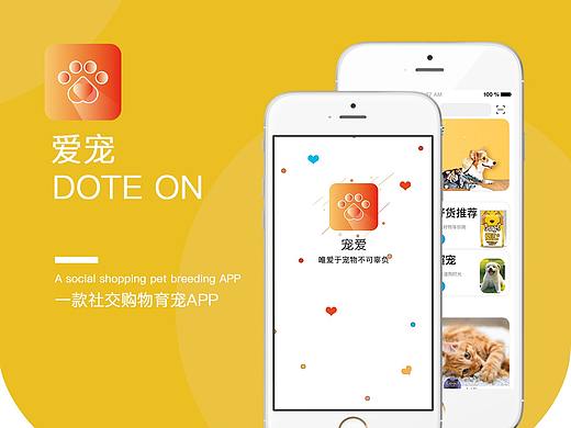宠物app
