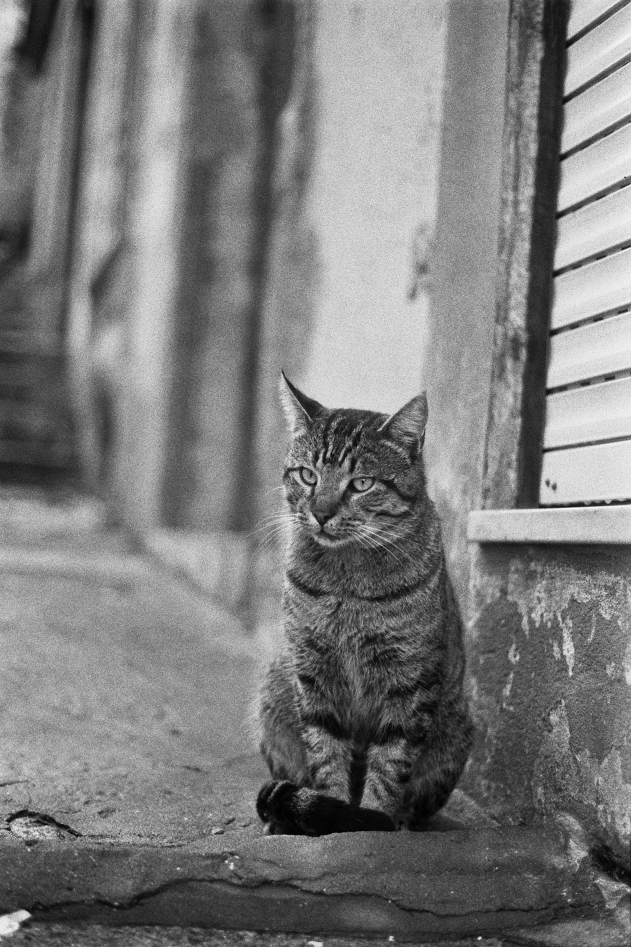 【胶片日记】黑白卷（图ZNjkxOTY2NzI=） - 人文/纪实摄影 - 站酷设计师壹拾贰12原创素材 - 站酷ZCOOL