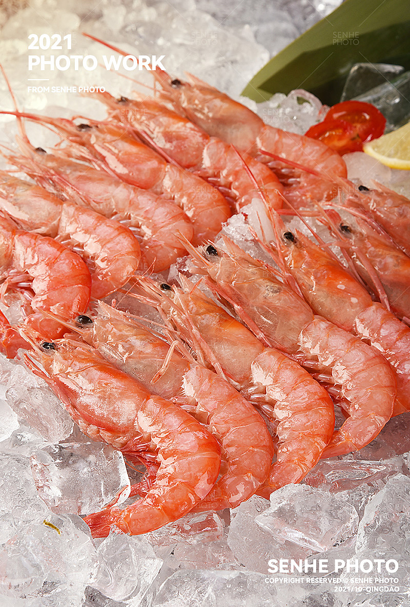 森和视觉冰鲜东海红虾拍摄