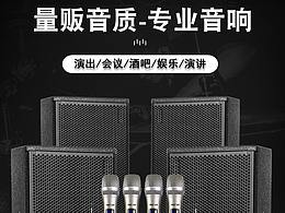 专业会议大功率音箱