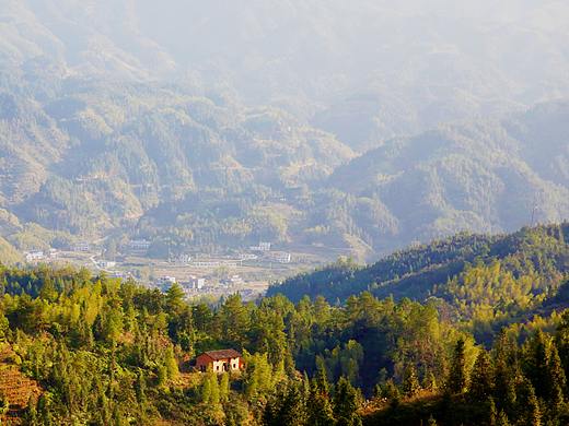 初识桂东·大山深处的美食寻觅之旅