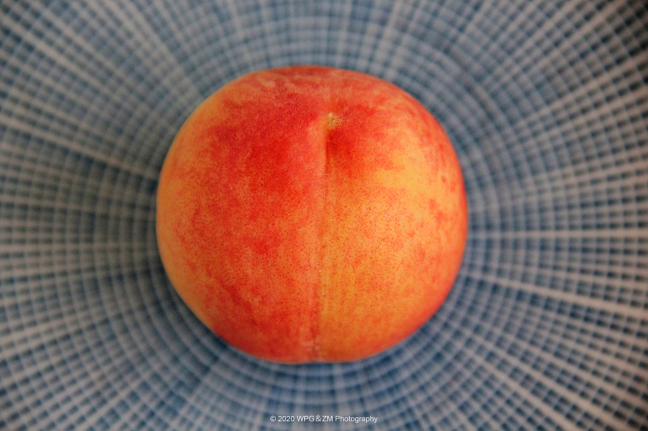 《 六月の尾 》