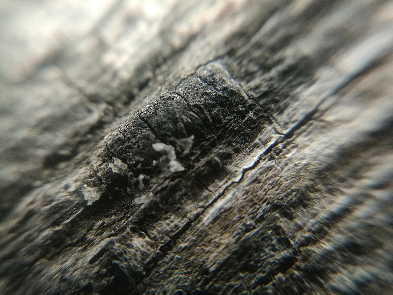 微距摄影作品集（图ZMTI5NzAyNjYw） - 风光摄影 - 站酷设计师YuanxuanLI原创素材 - 站酷ZCOOL