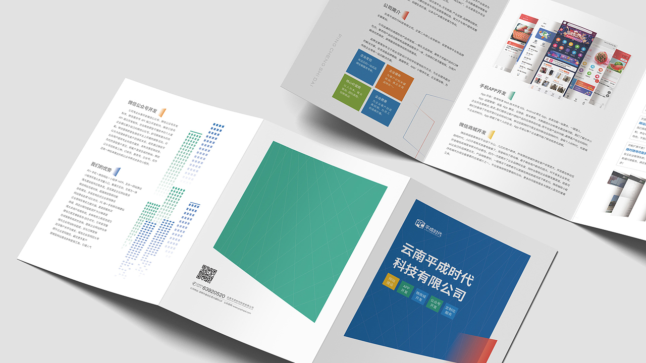 标志+画册+折页