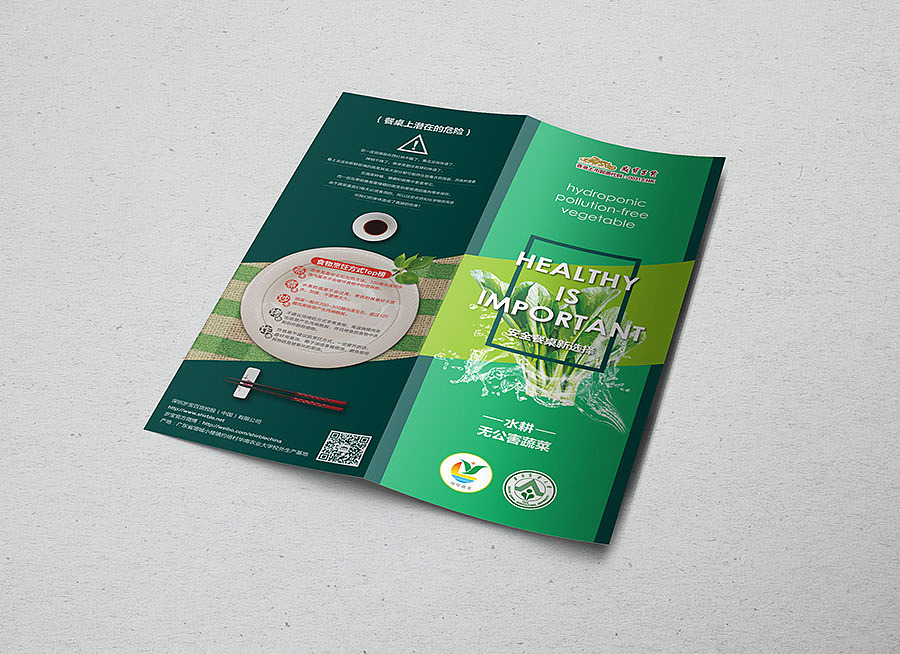 出街的产品介绍折页,早期推广上为了给顾客科普水培蔬菜和传统蔬菜的区别,风格上却是比较严肃