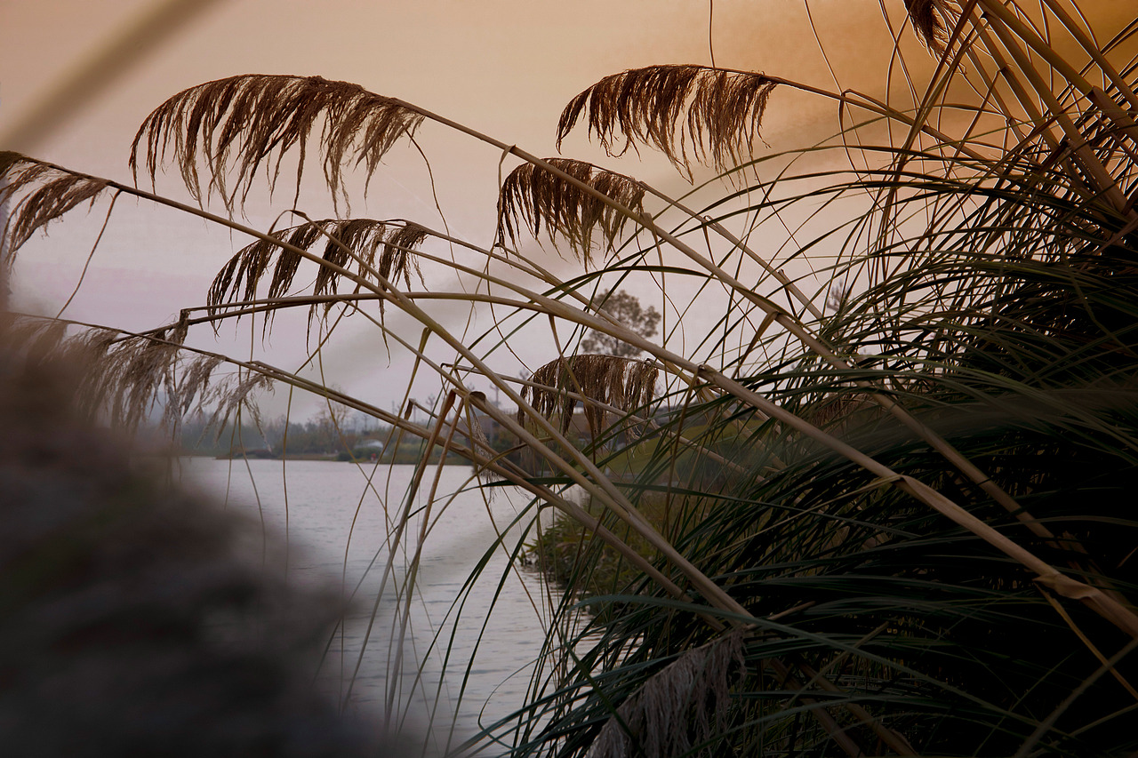 【芦苇少女】超级喜欢的一组片子