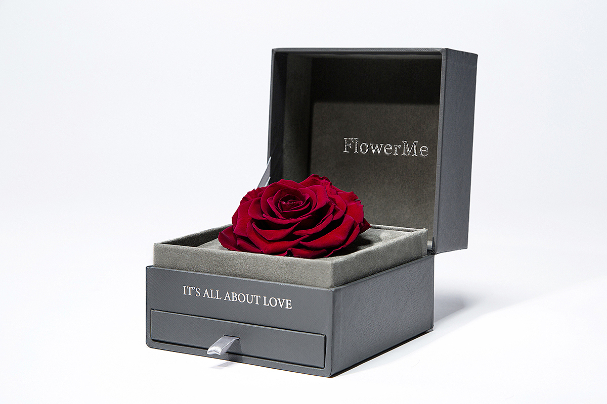 FlowerMe-品牌设计