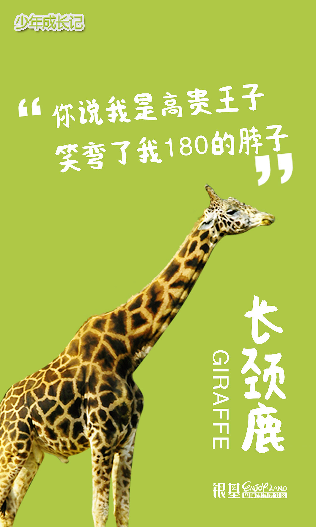 银基动物王国海报