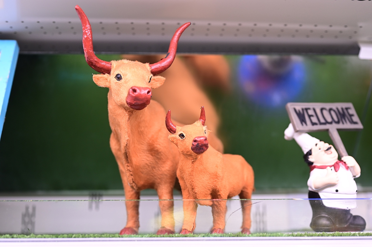 窥探这个世界（图ZMjAzMTE3OTYw） - 环境/建筑摄影 - 站酷设计师仔仔a原创素材 - 站酷ZCOOL