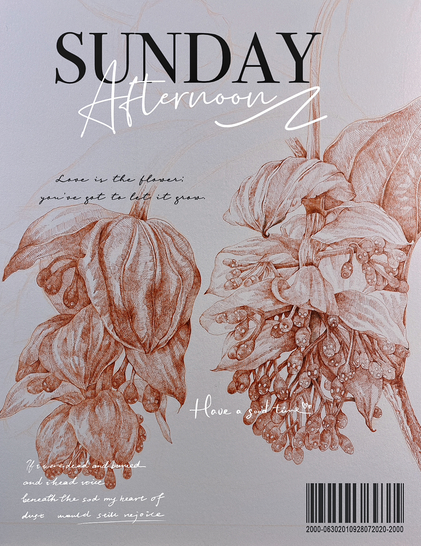 蘸水笔针管笔｜宝莲灯（图ZMzM2ODY2MjA4） - 艺术插画 - 站酷设计师CatCastleDZ原创素材 - 站酷ZCOOL