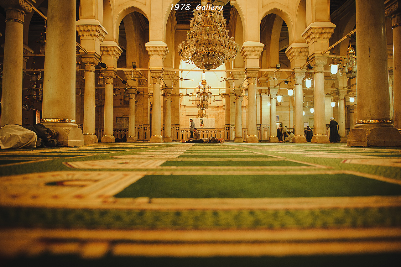 【开罗】永远失落的金字塔