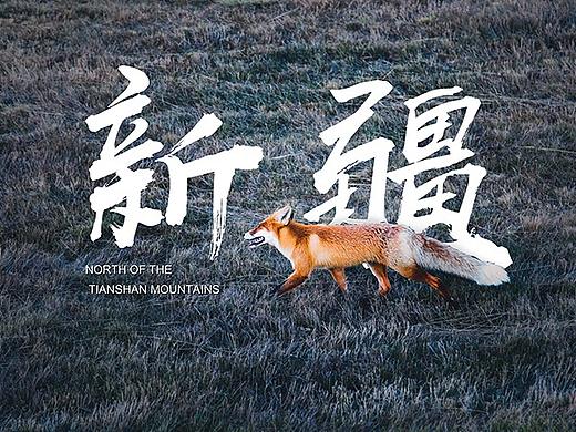 新疆