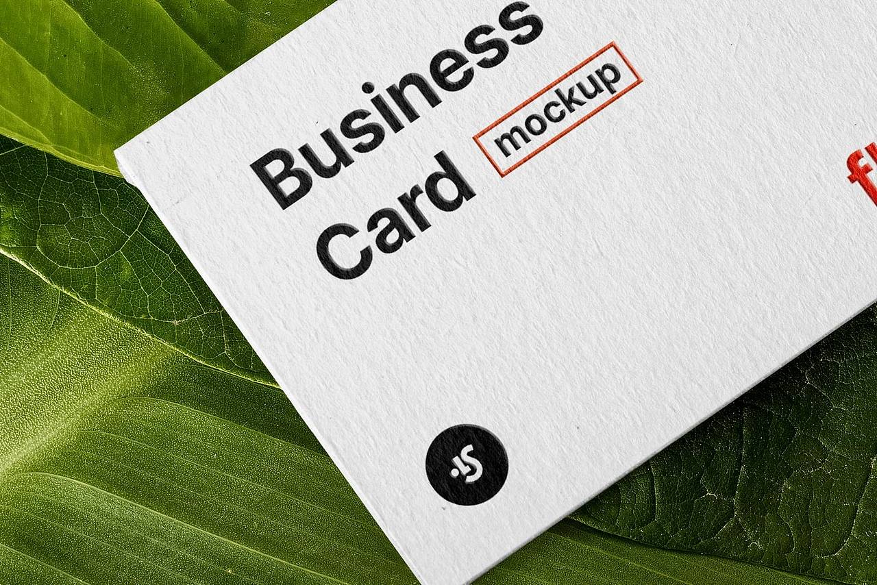 免费花卉名片样机