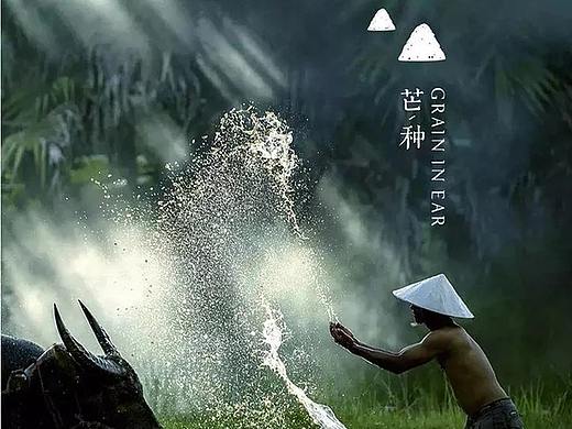 引导页和启动页