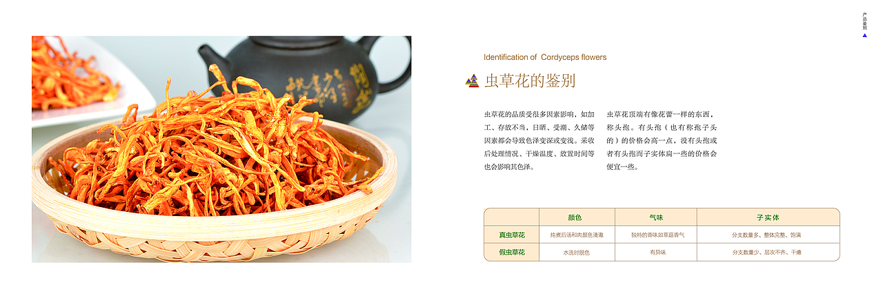 野山珍品手册（图ZMzA3MTkzOTYw） - 宣传物料 - 站酷设计师豆浆丨原创素材 - 站酷ZCOOL