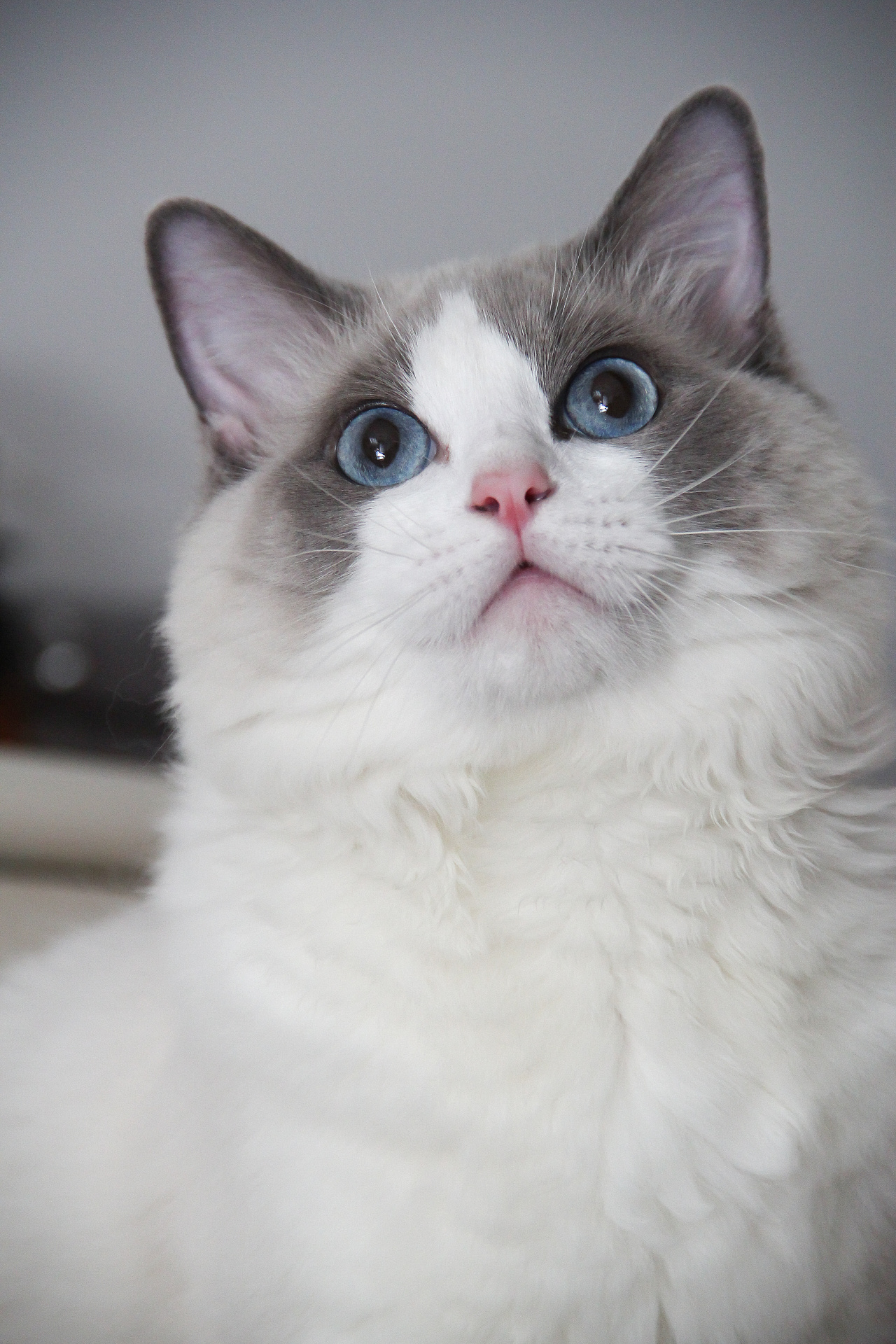 1280_1920竖版 竖屏