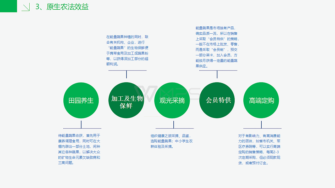 广东原生农业生物科技有限公司ppt（图ZMTE3MzEzODY0） - PPT/Keynote - 站酷设计师RexW一studio原创素材 - 站酷ZCOOL