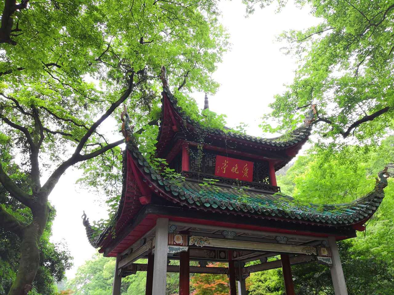 手机摄影-一些记录