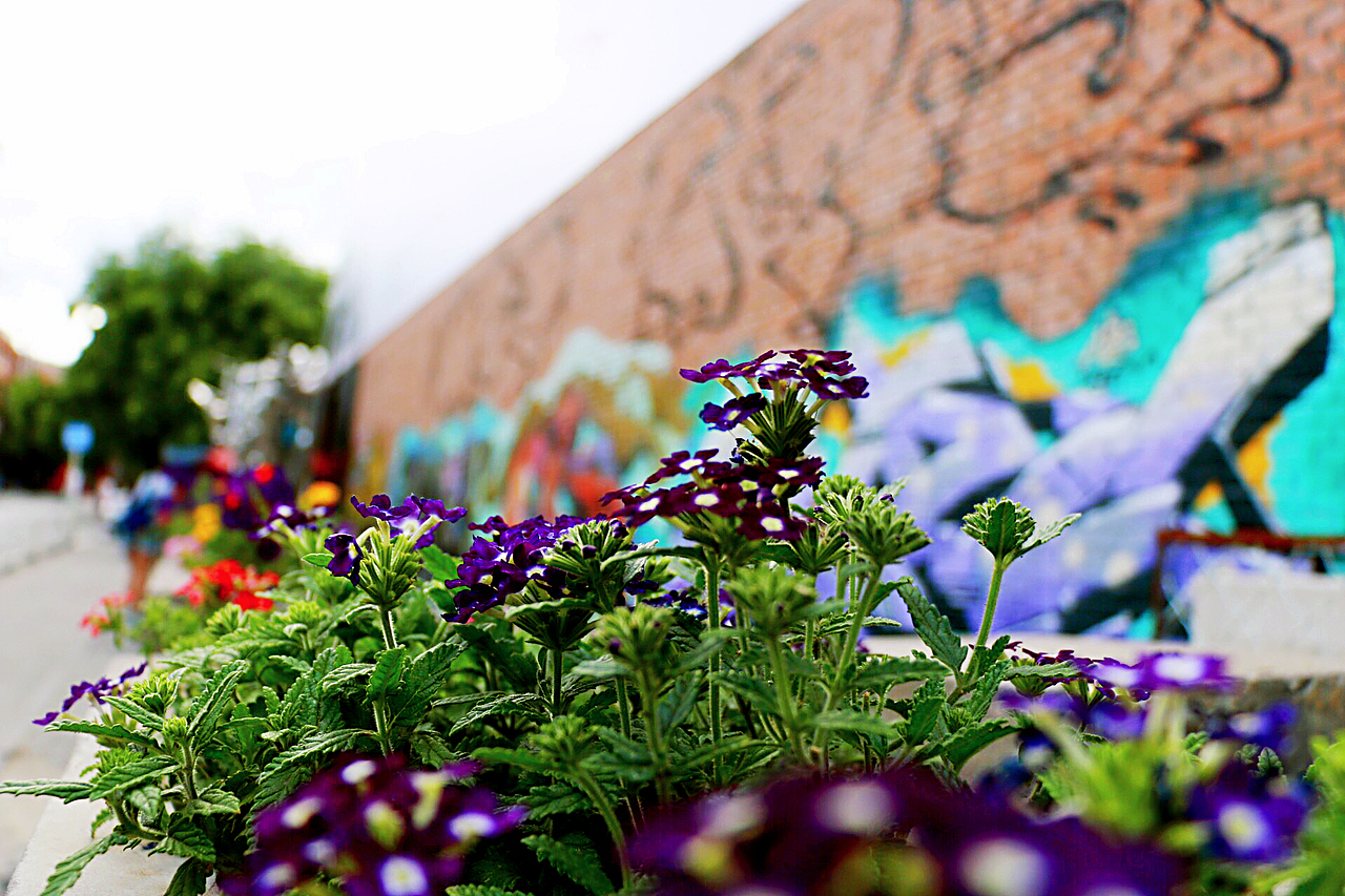 静物（图ZMzMxMTc1MDA=） - 产品摄影 - 站酷设计师scholar_roc原创素材 - 站酷ZCOOL