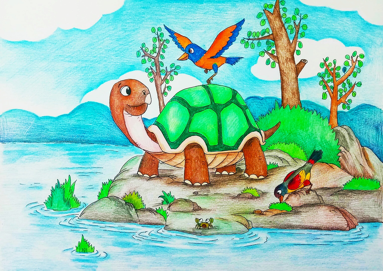 乌龟也有,但是它们也都不是鸟儿!