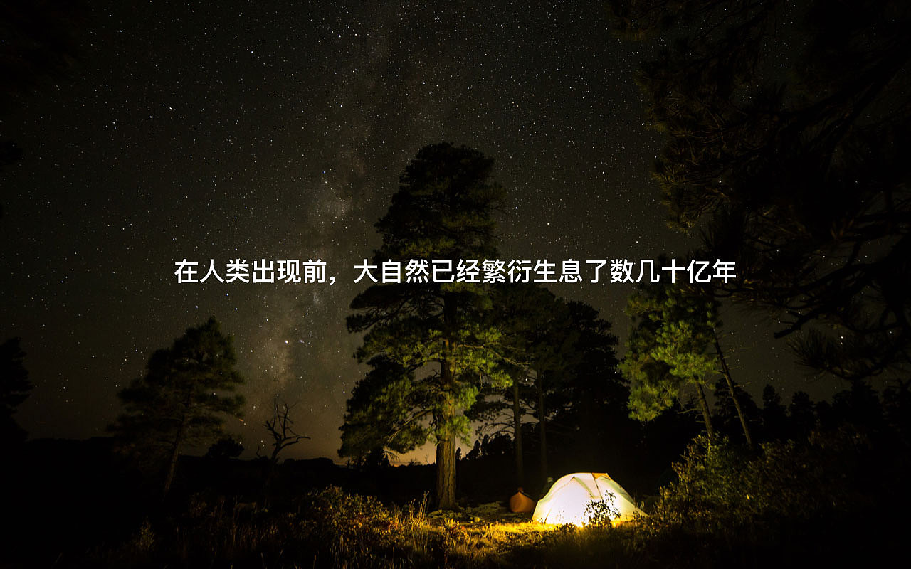 Raputa花园市集企业品牌形象（图ZMjM3MzM1MjU2） - 品牌 - 站酷设计师aime_chan原创素材 - 站酷ZCOOL